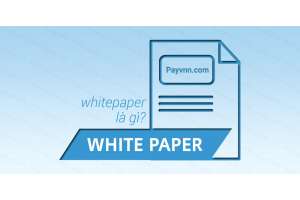 Sách trắng (WhitePaper) là gì?